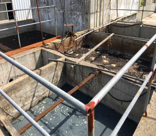 載體固化微生物技術(shù)